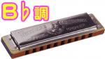 HOHNER ホーナー Old Standby B♭ 34B/20 10穴 ハーモニカ オールドスタンバイ ブルースハープ テンホールズ Blues Harmonica 木製ボディ　北海道 沖縄 離島不可