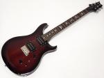 Paul Reed Smith /PRS ポール・リード・スミス SE CUSTOM 24 N / Fire Red Burst