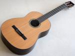 Martin Custom Shop N-STYLE Classic "Red Cedar / Indian Rosewood"