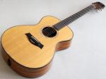 Taylor テイラー Koa/Cocobalo GC Fall Limited 2008