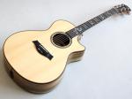 Taylor テイラー Custom GC Sasafras-Lutz "Andy Powers"