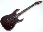 Ibanez ( アイバニーズ ) RG8570Z / AGT