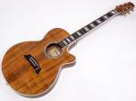TAKAMINE タカミネ TSP178ACK N