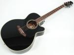 TAKAMINE タカミネ TDP561C BL