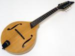 Breedlove ブリードラブ American OF < Used / 中古品 > 