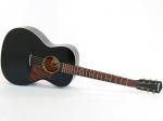 Waterloo by Collings ( ウォータールー ) WL-14L Jet Black "Small neck & Tigerstripe PG"