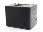 AER エーイーアール Compact 60/4 Tommy Emmanuel Signature -直筆サイン入り-
