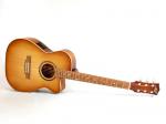Maton Guitars メイトンギターズ PERFORMER'19 LTD Vintage Amber Burst