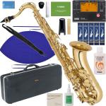 Antigua  アンティグア TS2800 アウトレット エルドン テナーサックス ラッカー ゴールド 管楽器 eldon Tenor saxophone セット C　北海道 沖縄 離島不可