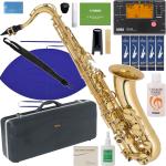 Antigua  ( アンティグア ) TS2800 アウトレット エルドン テナーサックス ラッカー ゴールド 管楽器 eldon Tenor saxophone セット C　北海道 沖縄 離島不可