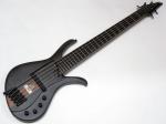 Ibanez アイバニーズ AFR5FMP-TGF (Transparent Gray Flat)