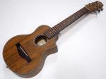 Ibanez アイバニーズ EWP14WB-OPN