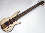 Ibanez アイバニーズ SR1306 / NTF 