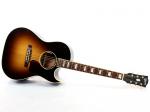Gibson ギブソン CF-100 VS *