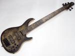 STR GUITARS LS549 #496