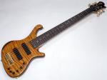 Freedom Custom Guitar Research Dulake Flat 6st / BAS