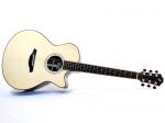 Furch フォルヒ Rainbow Gc-LC "Alpine spruce & Cocobolo"