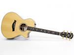 Taylor ( テイラー ) 2014 Japan Limited 812ce Special ES2