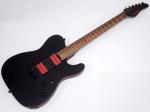 SCHECTER ( シェクター ) PA-SM / SH 【OUTLET】