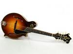 Collings MF5 Deluxe V Custom