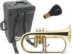 J Michael Jマイケル FG-500 フリューゲルホルン ラッカー ゴールド 管楽器 本体 B♭ Flugelhorn ミュート セット D　北海道 沖縄 離島不可