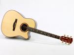 Fields D-RC "German Spruce & Brazilian Rosewood" *2010