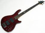 SCHECTER シェクター DAMIEN ELITE 4 (AD-DM-EL-4) / CRBS < Used / 中古品 > 