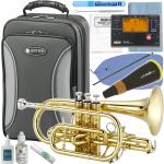 JUPITER  ジュピター JCR700 コルネット ラッカー イエローブラス 管楽器 Bb Cornet JCR-700 ゴールド カラー ミュート セット A　北海道 沖縄 離島不可