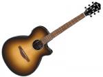 Ibanez ( アイバニーズ ) AEG50 DHH 特価品 エレアコ アコースティックギター