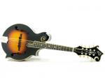 The Loar ザ・ロアー LM-600-VS