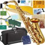 YAMAHA ( ヤマハ ) YAS-480 アルトサックス ラッカー ゴールド 管楽器 Alto saxophone gold TDM-700DPO4 プーさん セット F　北海道 沖縄 離島不可