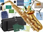 YAMAHA ヤマハ 5年保証サービス対象 YAS-480 アルトサックス ラッカー ゴールド 管楽器 ジブリ セットH　以下対応不可 北海道 沖縄 離島 代引き