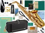 YAMAHA ( ヤマハ ) YAS-480 アルトサックス 管楽器 E♭ alto saxophone gold YAS-480-01 Vandoren オプティマム マウスピース セット 　北海道 沖縄 離島不可