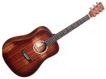 Martin マーチン DJr-10E  StreetMaster【ミニアコースティックギター  】