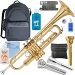 YAMAHA ( ヤマハ ) YTR-8330EM エリック ミヤシロ トランペット ラッカー イエローブラス 管楽器 B♭ Trumpets gold custom Eric Miyashiro セット C　北海道 沖縄 離島不可