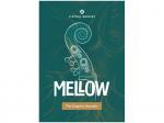 UJAM ユージャム Virtual BASSIST MELLOW 2 ベース音源 DTM DAW