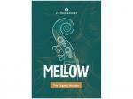 UJAM ( ユージャム ) Virtual BASSIST MELLOW 2 ベース音源 DTM DAW