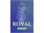 UJAM ユージャム Virtual BASSIST ROYAL 2 ベース音源 DTM DAW
