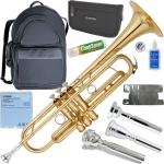 YAMAHA ( ヤマハ ) YTR-8330EM エリック ミヤシロ トランペット ラッカー イエローブラス 管楽器 B♭ Trumpets gold custom Eric Miyashiro セット D　北海道 沖縄 離島不可