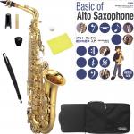 Kaerntner ケルントナー KAL62 アルトサックス ラッカー ゴールド 管楽器 Alto saxophone KAL-62 セット G　北海道不可 沖縄不可 離島不可 代引き不可 同梱不可