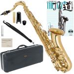 Antigua  ( アンティグア ) TS2800 アウトレット エルドン テナーサックス ラッカー 管楽器 eldon tenor saxophone gold セット F　北海道 沖縄 離島不可