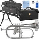 YAMAHA ( ヤマハ ) YFH-631GS フリューゲルホルン 銀メッキ 管楽器 シルバー プロフェッショナル Professional Flugelhorn セット C　北海道 沖縄 離島不可