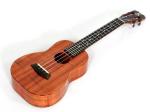 Kanile'a カニレア KCSC/PG CONCERT UKE PREM GLOSS《コンサートウクレレ》