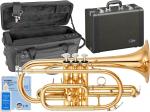 YAMAHA ヤマハ YCR-4330GII コルネット ラッカー ゴールドブラス ショート 管楽器 B♭ YCR-4330G-2 Cornet gold セミハードケース セット　北海道 沖縄 離島不可