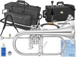 YAMAHA ヤマハ YFH-8315GS フリューゲルホルン 銀メッキ シルバー ゴールドブラス カスタム 管楽器 B♭ Flugelhorn custom セット A　北海道 沖縄 離島不可