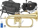 YAMAHA ヤマハ YFH-8310Z フリューゲルホルン ラッカー ゴールド イエローブラス カスタム B♭ Flugelhorn custom gold セット B　北海道 沖縄 離島不可