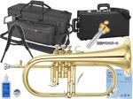 YAMAHA ヤマハ YFH-8310Z フリューゲルホルン ラッカー ゴールド イエローブラス カスタム B♭ Flugelhorn custom gold セット C　北海道 沖縄 離島不可