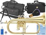 YAMAHA ヤマハ YFH-8310Z フリューゲルホルン ラッカー ゴールド イエローブラス カスタム B♭ Flugelhorn custom gold セット D　北海道 沖縄 離島不可