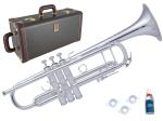 Vincent Bach ヴィンセント バック AB190 GBSP アルティザン B♭ トランペット ゴールドブラス  銀メッキ Trumpet Artisan Collection　北海道 沖縄 離島不可