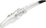 Roland ローランド Aerophone AE-10 ◆管楽器の新しい世界を広げるデジタル楽器、エアロフォン